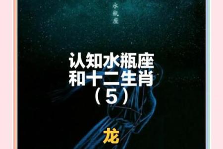 十二星座更适合什么龙