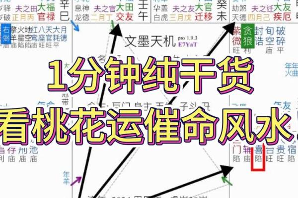 紫薇斗数旺权