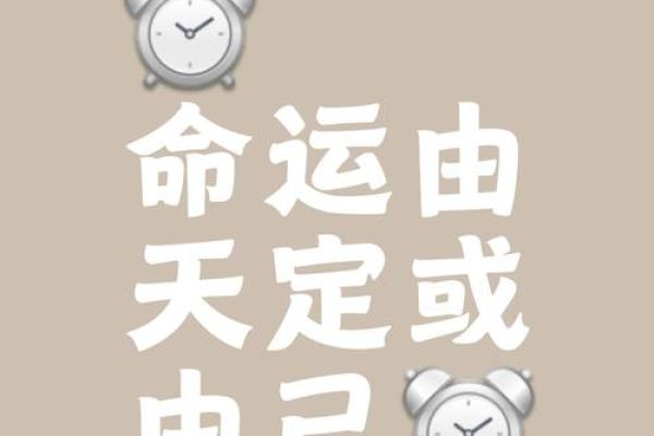 八字天注定，人生需冷静（四）
