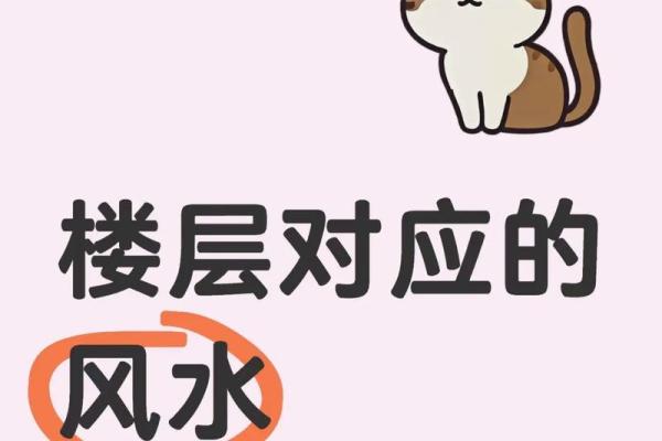 楼层风水五行 楼层风水五行谬论