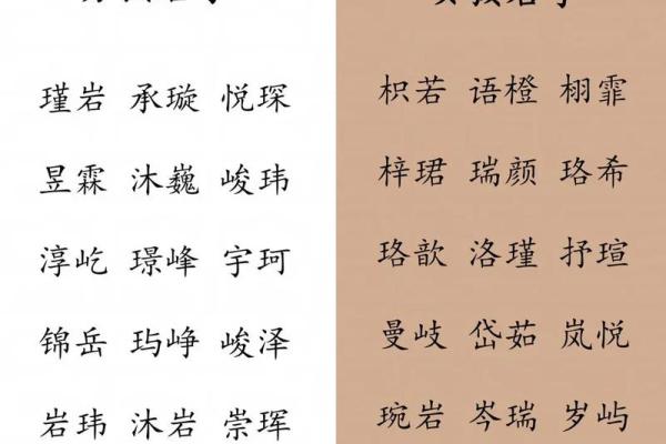 属龙寅时出生的男孩什么名字好，适合用什么字姓名
