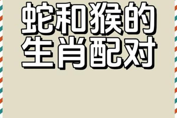 男猴女马生肖配对姻缘