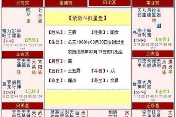 测紫薇斗数姓名