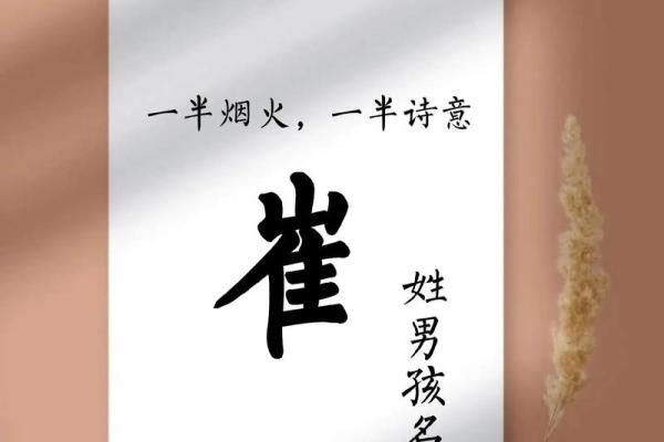 崔姓女孩名字大全-崔姓女孩起名字大全-崔姓名字大全姓名