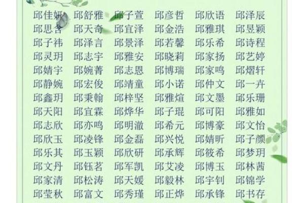 2019年3月24号巳时出生的男孩起名时要注意什么姓名
