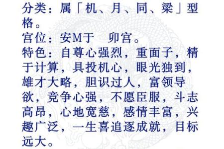 周飞星紫薇斗数