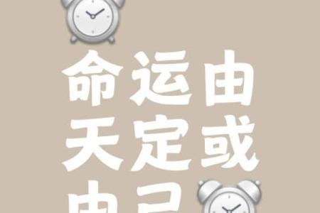 八字天注定，人生需冷静（四）