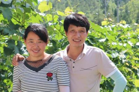 双龙2015结婚吉日 双龙结婚怎么样？