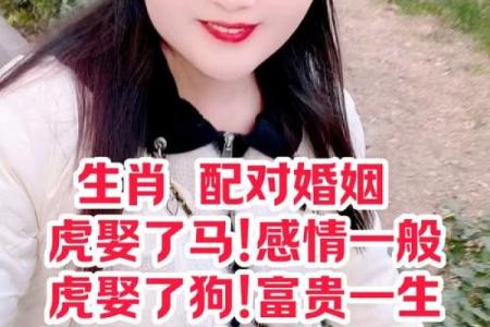 生肖马的姻缘配对，哪些生肖最合适？