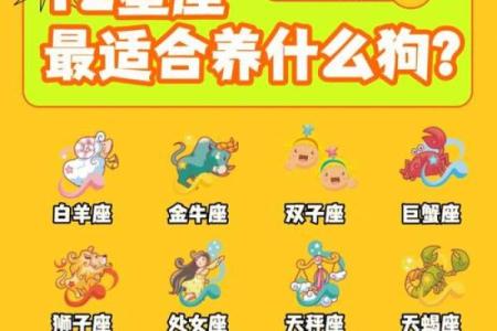 十二星座最适合养什么猫狗