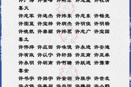 许姓女孩名字大全-许姓女孩起名字大全-许姓名字大全姓名