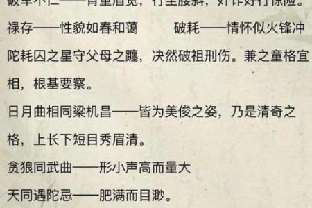 南辰紫薇斗数