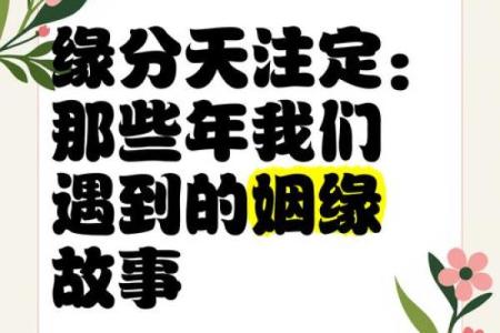 缘分是天注定姓名配对 缘份真的是天注定的-？