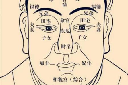 蔡辰洲紫薇斗数