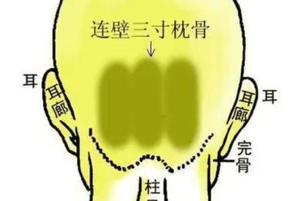 面相奇术：摸骨看面相算命口诀