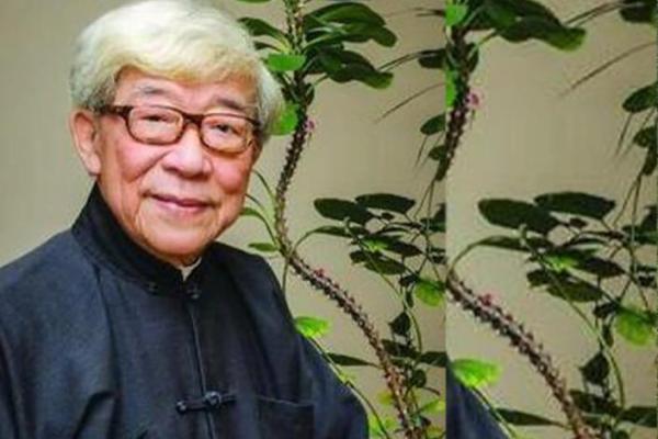 民间紫薇斗数高手