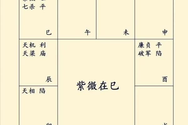 紫薇斗数太阴星