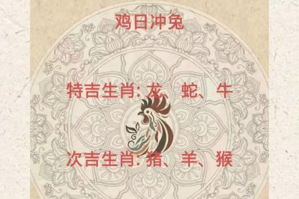 属鼠和什么属相最配对 属鼠和什么属相相冲