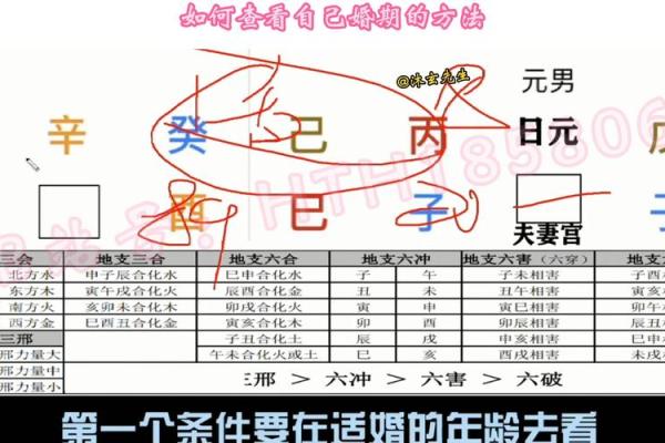 测四柱八字