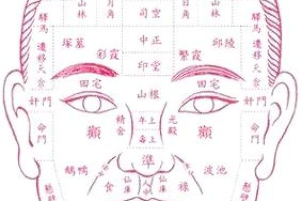 面相额头痣相图解算命