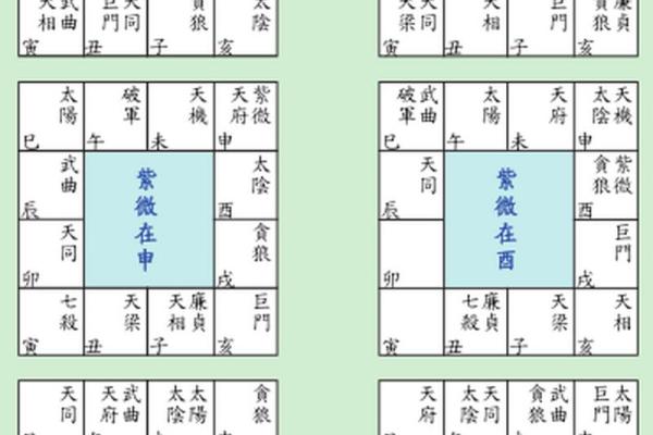 紫薇斗数看创业用什么宫位