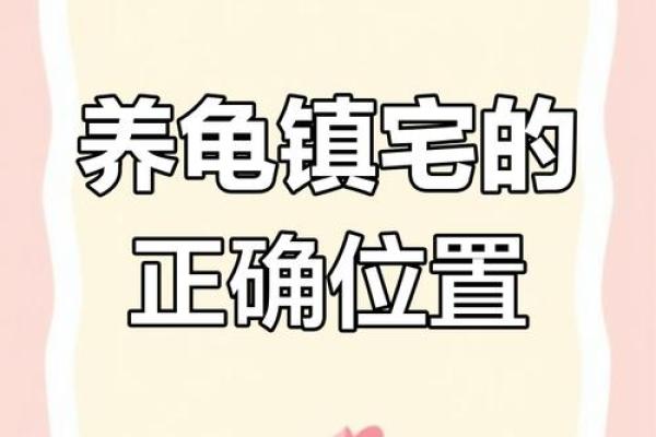 哪个生肖不宜养龟风水