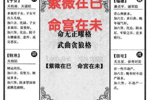 紫薇斗数凶格局
