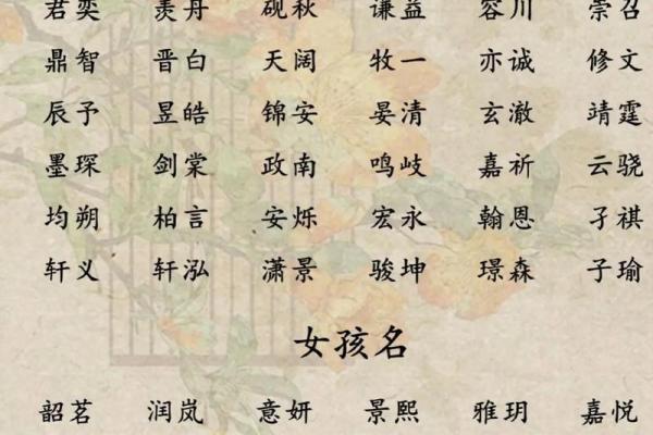 宝宝起名生辰八字打分