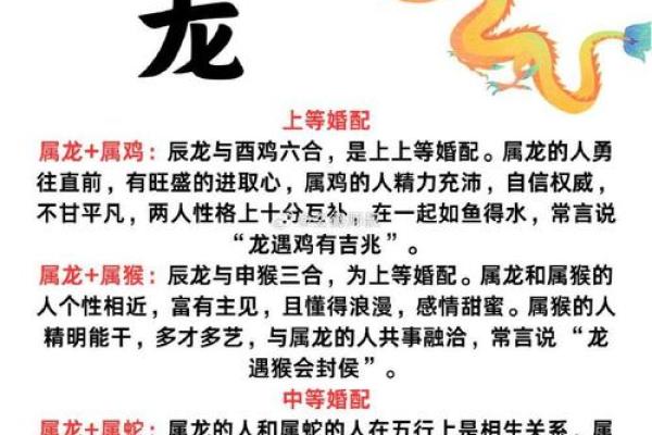 生肖龙和配对的魂伴
