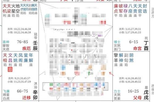 清朝道光皇帝紫微斗数命盘 清代道光？
