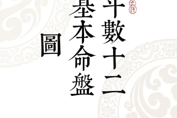 八字十神排盘紫薇斗数