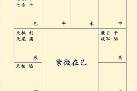 紫薇斗数太阴星
