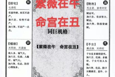 紫微斗数紫薇星落入什么宫