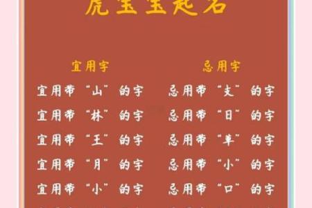 名字测试虎年吉凶打分