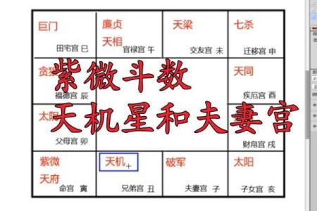 紫微斗数：天机星