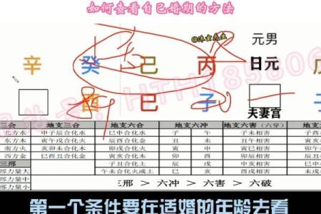 测四柱八字