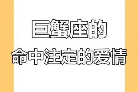 择偶条件太死板，总错过爱情星座