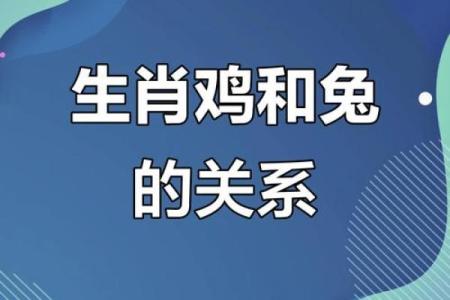 生肖兔和兔的配对是否适合