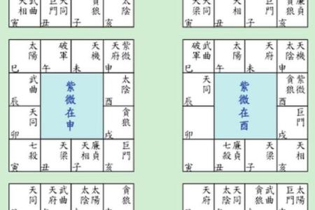 紫薇斗数看创业用什么宫位