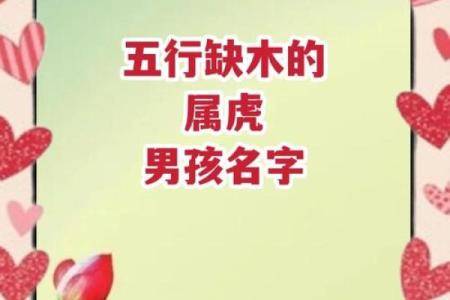 傍晚7点出生的属虎男孩要怎么样起名姓名