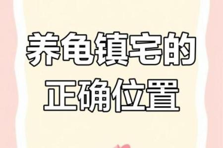 哪个生肖不宜养龟风水
