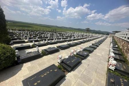 龙山陵园公墓风水怎么样