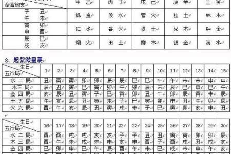 紫薇斗数怎么排命盘