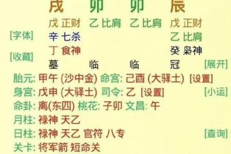 八字乙未日