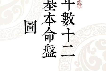 八字十神排盘紫薇斗数