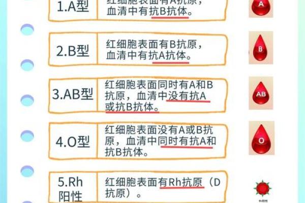 血型会影响怀孕吗- O型血的女性不易受孕