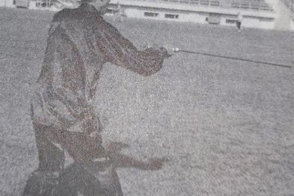 形意门秘传八字连环拳
