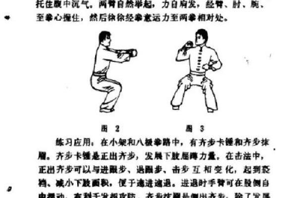 形意门秘传八字连环拳