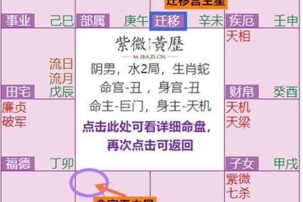 紫薇斗数主星择业