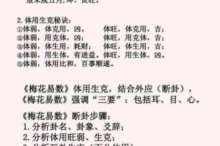 梅花易数怎么给人算命
